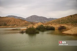 تلفات ماهی
