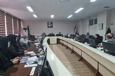 بررسی نقاط قوت و ضعف آیین نامه جذب و ارتقاء اعضای هیات علمی
