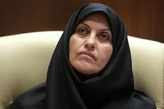 پیروزبخت: ذرت‌های آلوده تبدیل به الکل می‌شود