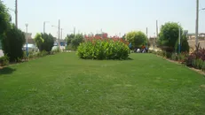 اهمیت و نقش جنگل‌ها و مراتع در زندگی امروزی/ قطع درختان قطع شریان زندگی