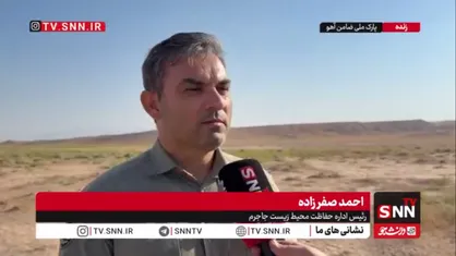 صفرزاده: آخرین گونه ثبت شده یوزپلنگ&zwnj;ها &laquo;گونه هلیا&raquo; است/ از این گونه شگفت&zwnj;انگيز می&zwnj;توان قصه&zwnj;ها نوشت