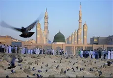 تازه‌ترین آمار خدمات درمانی به زایران مدینه منوره