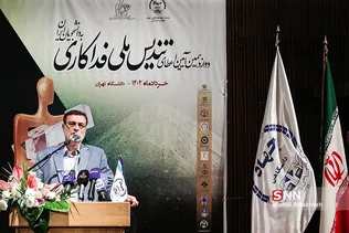 سیفل