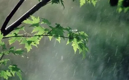 بارش باران&zwnj;های بهاری در اغلب شهرها/ گرد و خاک در اهواز و جنوب کشور