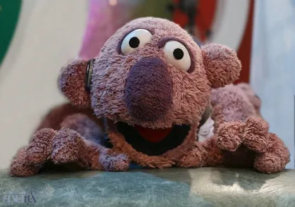 فیلم/ شوخی جناب خان با بانوان فوتسالیت قهرمان آسیا
