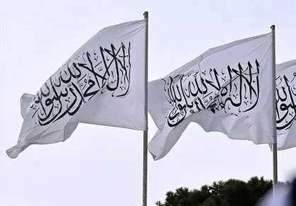 طالبان خواستار موضع&zwnj;گیری بین&zwnj;المللی علیه پاکستان شد