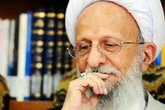 آیت‌الله مصباح‌یزدی: در دنيا گرفتاری‌های زیادی برای همه پیش می‌آید؛ نوع، شکل و زمان آن با یکدیگر فرق می‌کند