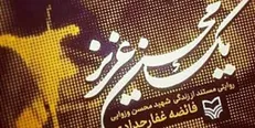 نقدی بر کتاب «یک محسن عزیز»