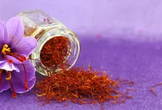 حداقل نرخ خرید گل و نگین زعفران تصویب شد