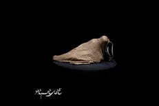 شهیدی که دیگر کسی او را نمی‌خواهد!