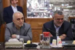 جلسه مشترک کمیسیون های ویژه حمایت از تولید ملی