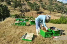 مرکز رشد کسب و کار فناورانه روستایی مازندران راه‌اندازی می‌شود