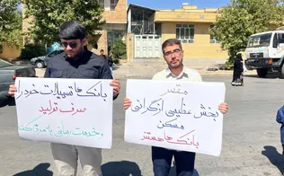 آلبوم عکس