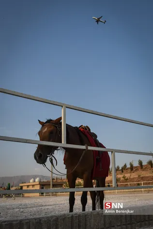 ایسلب
