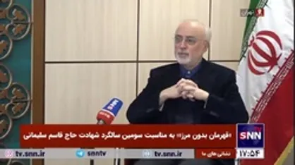 علی اکبر صالحی: سردار سلیمانی را از بازی&zwnj;های سیاسی دور کنید