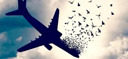 مراسم یادبود شهدای سانحه هواپیما در مسجد دانشگاه شریف برگزار می&zwnj;شود