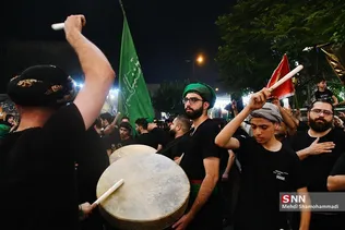 دبب