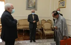 خداحافظی سفیر ژاپن با ظریف