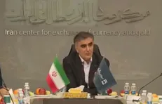 نرخ بازار ارز تجاری باید نرخ ارز کشور شود