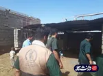 فعالیت جهادگران بسیج دانشجویی دانشگاه آزاد شوشتر در مناطق سیل زده شعیبیه