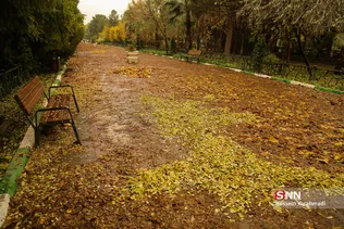 جلوه های پاییزی قم به روایت تصویر
