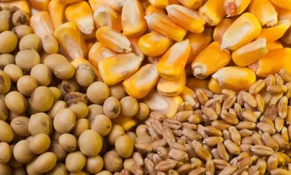 واردات ۱.۵ میلیارد دلار نهاده در انتظار تخصیص ارز بانک مرکزی