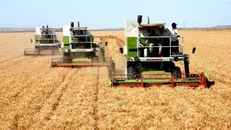 شاخص‌های حیاتی برای انتخاب وزیر جهاد کشاورزی تراز برای دولت سیزدهم