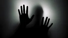 قاتلی که بو ندارد