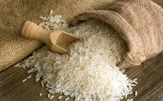 شرط وزارت جهاد کشاورزی برای واردکنندگان برنج