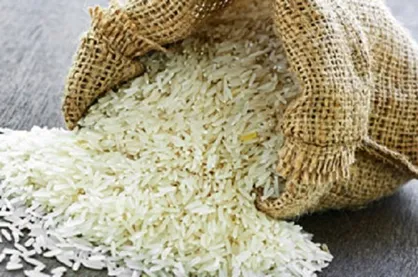 جزییات حمایت از تولید برنج داخلی تشریح شد