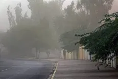 هشدار سطح زرد هواشناسی در خصوص وزش باد شدید و گرد و خاک در خراسان جنوبی