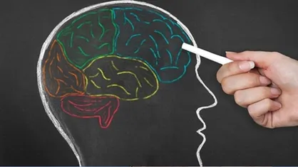 فناوری شناختی در آموزش و پروش به کار می&zwnj;رود