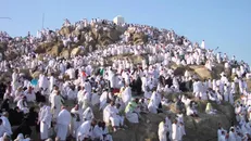این روز‌ها میلیون‌ها زائر حاجی می‌شوند/ حضور ۱۰ هزار زائر ایرانی در روز عرفه در عراق