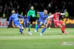 دبب