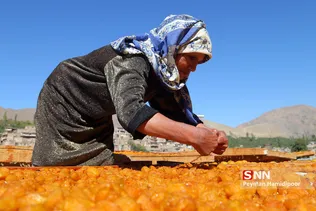 روستای خرو