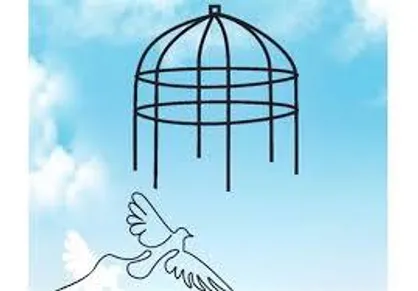 اقدام قابل توجه اولیای دم یک پرونده قصاص در استان البرز