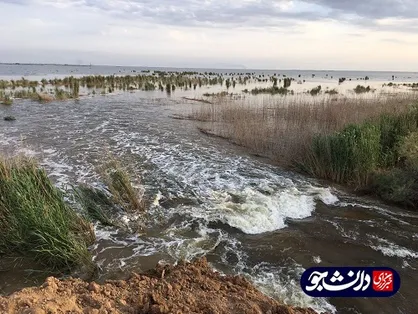مشکل سیلاب خوزستان با آبگیری هورالعظیم حل نمی&zwnj;شود/ بازدید میدانی از تالاب+ عکس