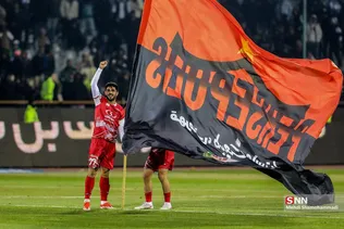 دبب