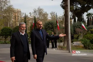 زیادنخاله