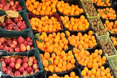 وضعیت ذخایر میوه و روغن برای ایام نوروز