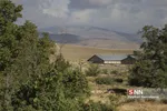 تخریب باغات