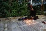 دبب