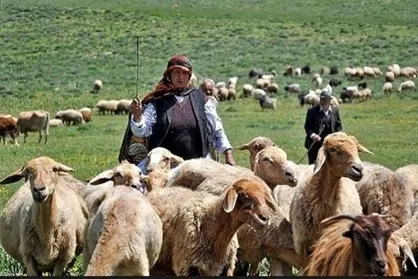 ۹۸ میلیارد تومان تسهیلات کم&zwnj;بهره به عشایر گیلان پرداخت شد