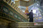 سالروز ورود حضرت معصومه (س) به قم