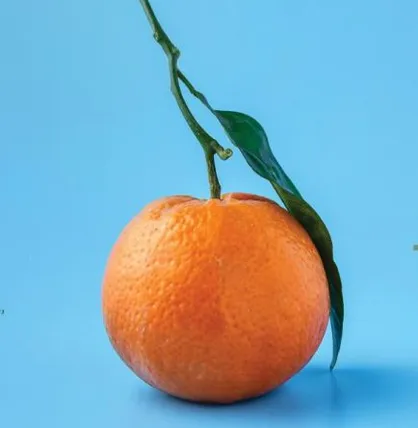 اثر رژیم غذایی مناسب بر بهبود عارضه ریزش مو / سومین شماره از گاهنامه علمی - پژوهشی &laquo;ویتامین&raquo; منتشر شد