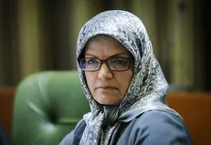 استدلالی عجیب خداکرمی برای ماندن نجفی