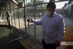رهاسازی ۹ قطعه پرنده شکاری و آبزی در تالاب بهشت معصومه