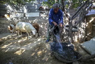 آب رسانی سیار