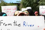 دانشگاه تهران