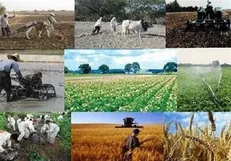 لایحه اعطای وام روستایی با بهره تک رقمی آماده تقدیم به مجلس شد